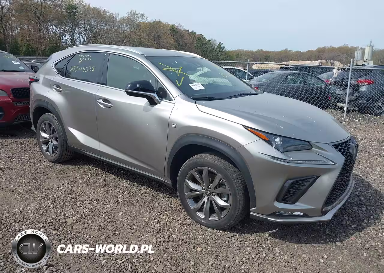 LEXUS