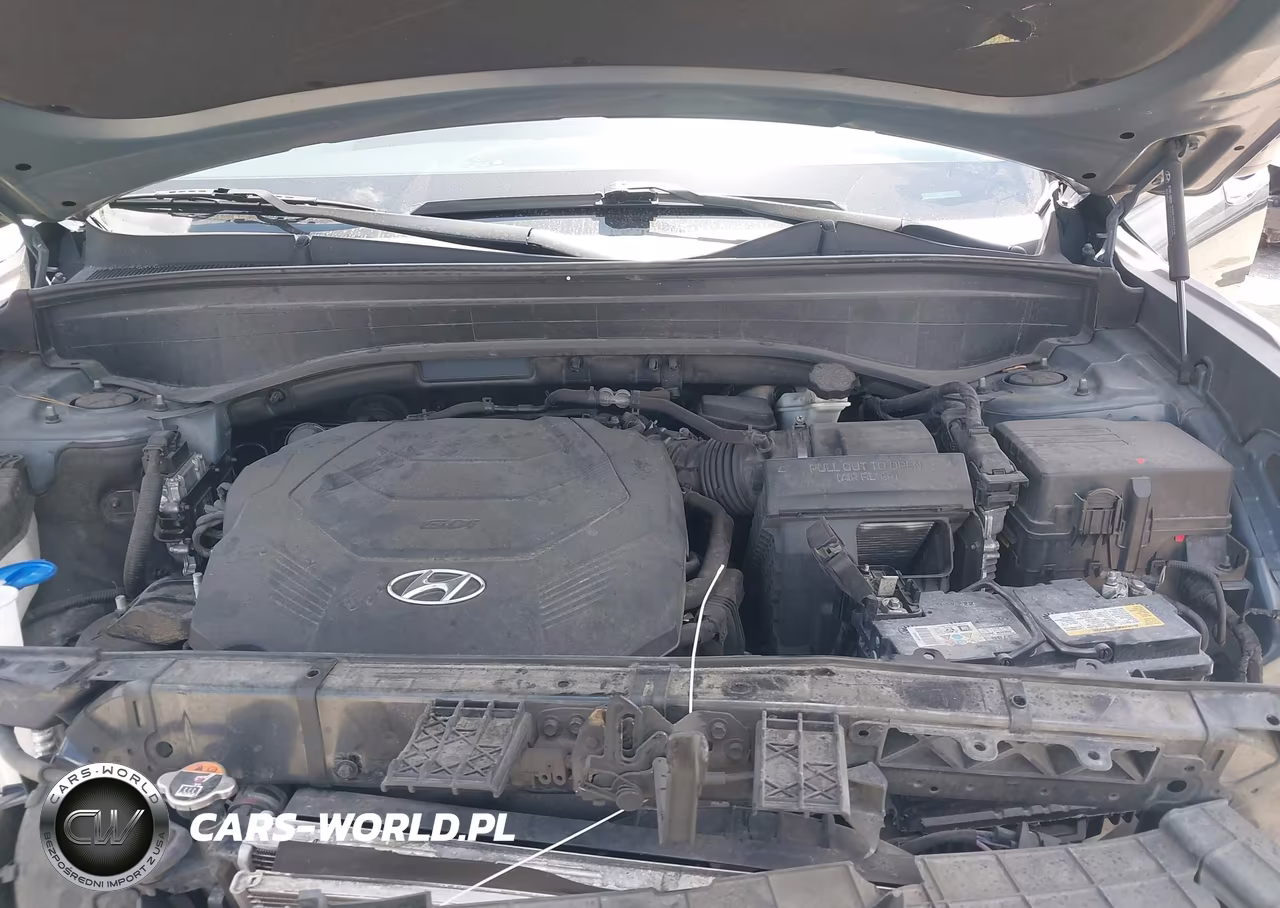 2020 Hyundai Palisade Sel VIN:KM8R34HE4LU102240 - 10