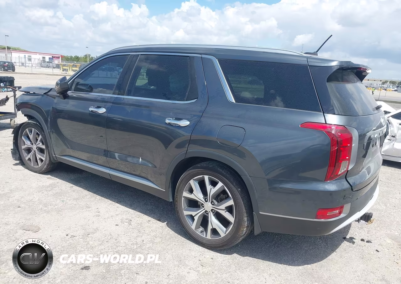 2020 Hyundai Palisade Sel VIN:KM8R34HE4LU102240 - 3