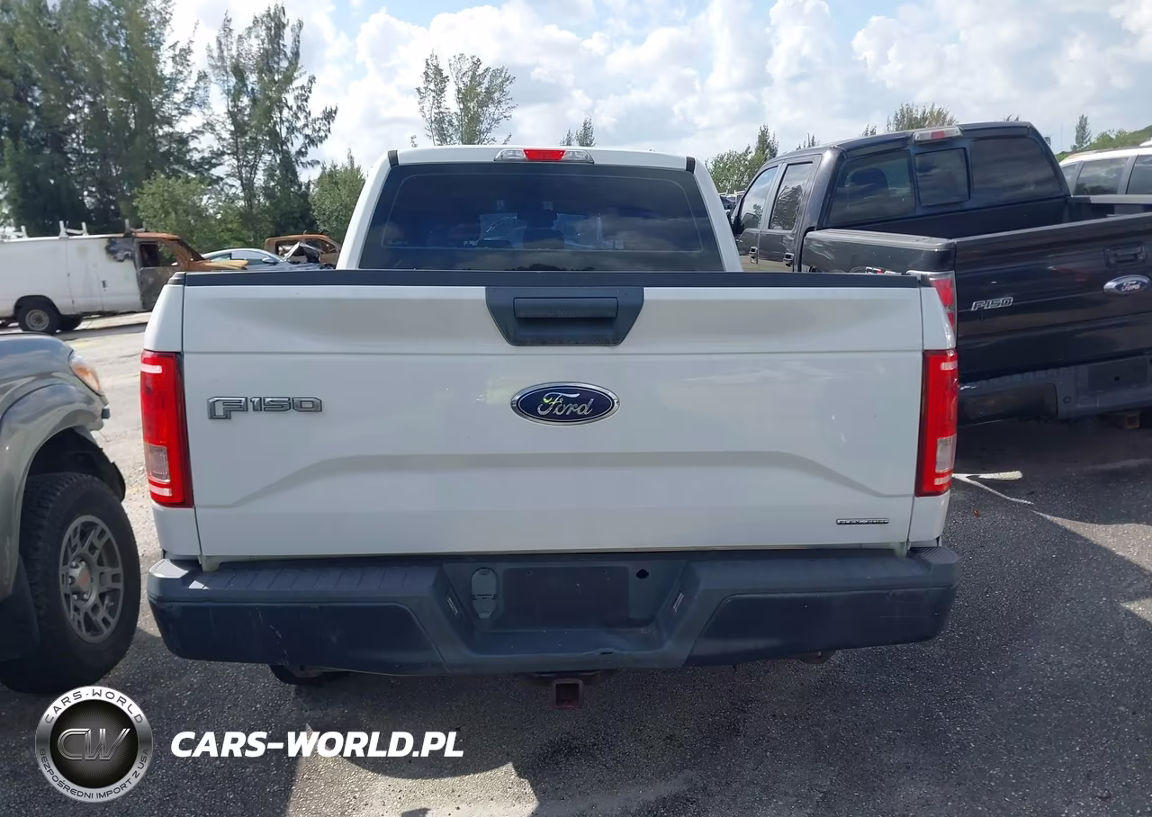 2015 Ford F-150 Xl VIN:1FTEX1CF9FFB38827 - 16