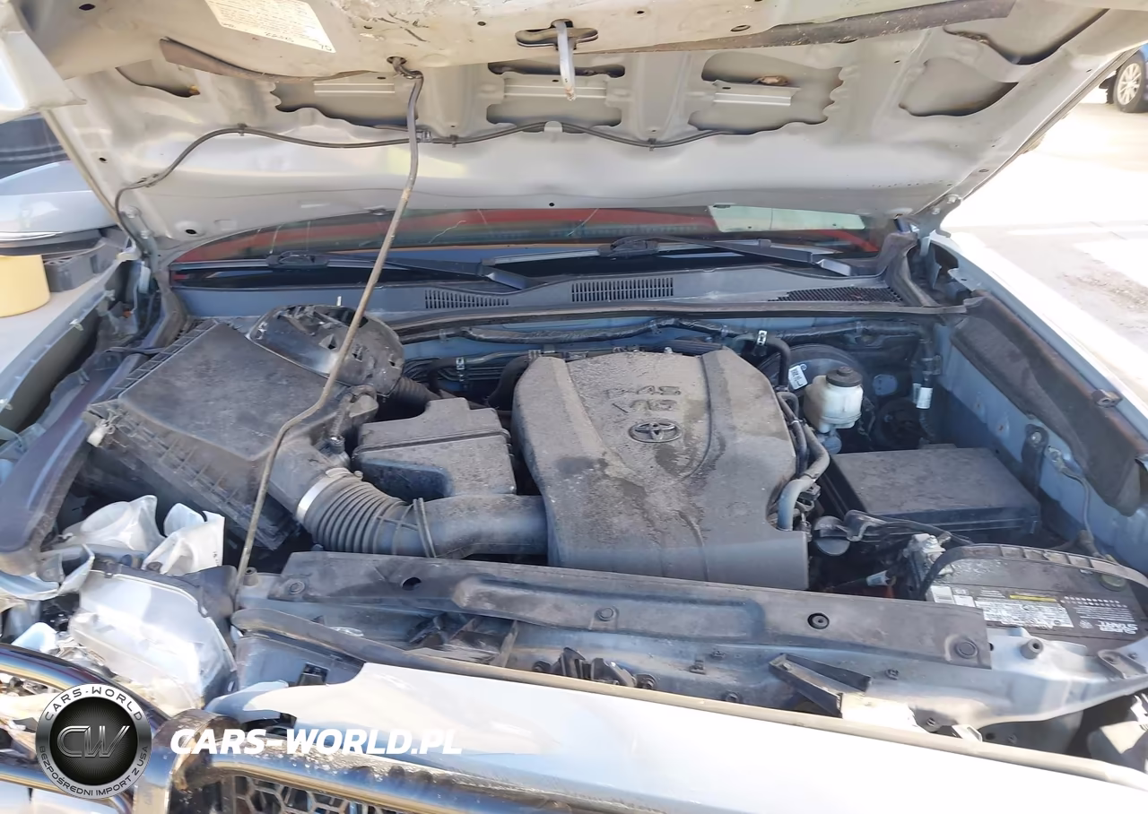 2019 Toyota Tacoma Trd Sport VIN:3TMAZ5CN5KM113957 - 10