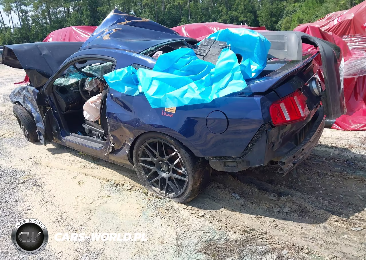 2011 Ford Mustang Gt VIN:1ZVBP8CF9B5125004 - 3