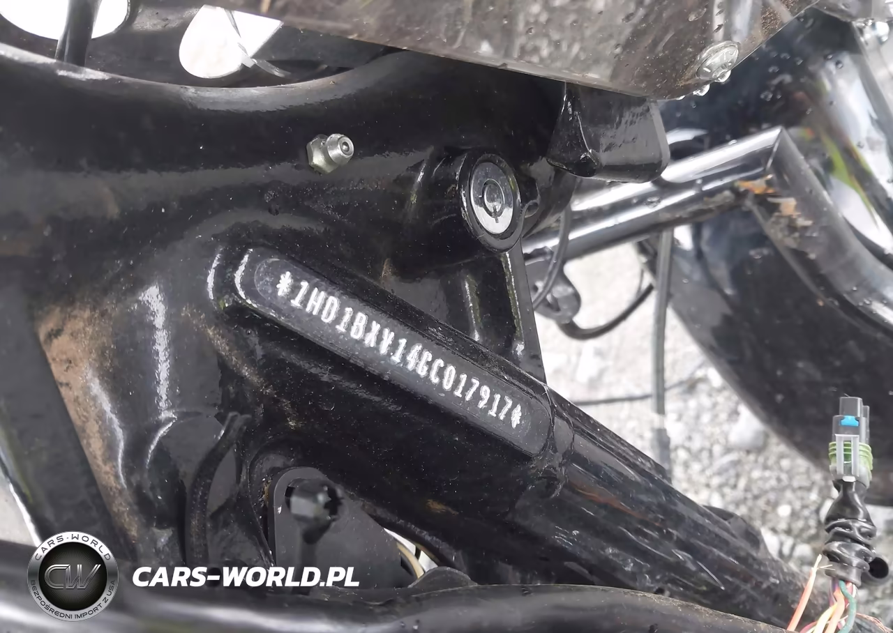 2016 Harley-Davidson Flstf Fatboy VIN:1HD1BXV14GC017917 - 10