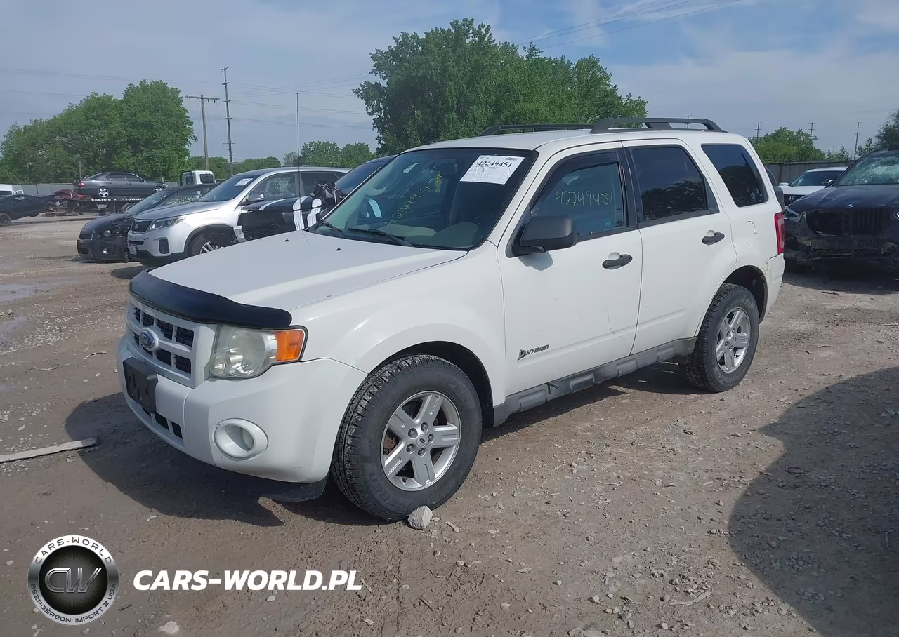 2009 Ford Escape Hybrid VIN:1FMCU59319KC11751 - 2