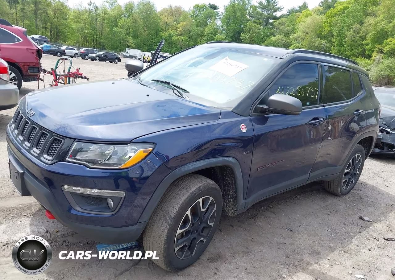 2020 Jeep Compass Trailhawk 4X4 VIN:3C4NJDDB1LT244981 - 2