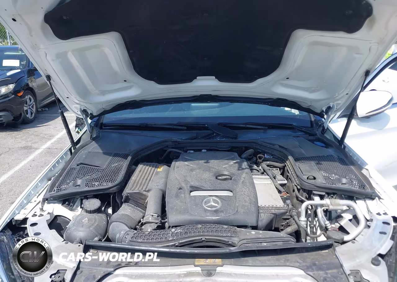 2018 Mercedes-Benz C 300 VIN:55SWF4JB7JU271476 - 10