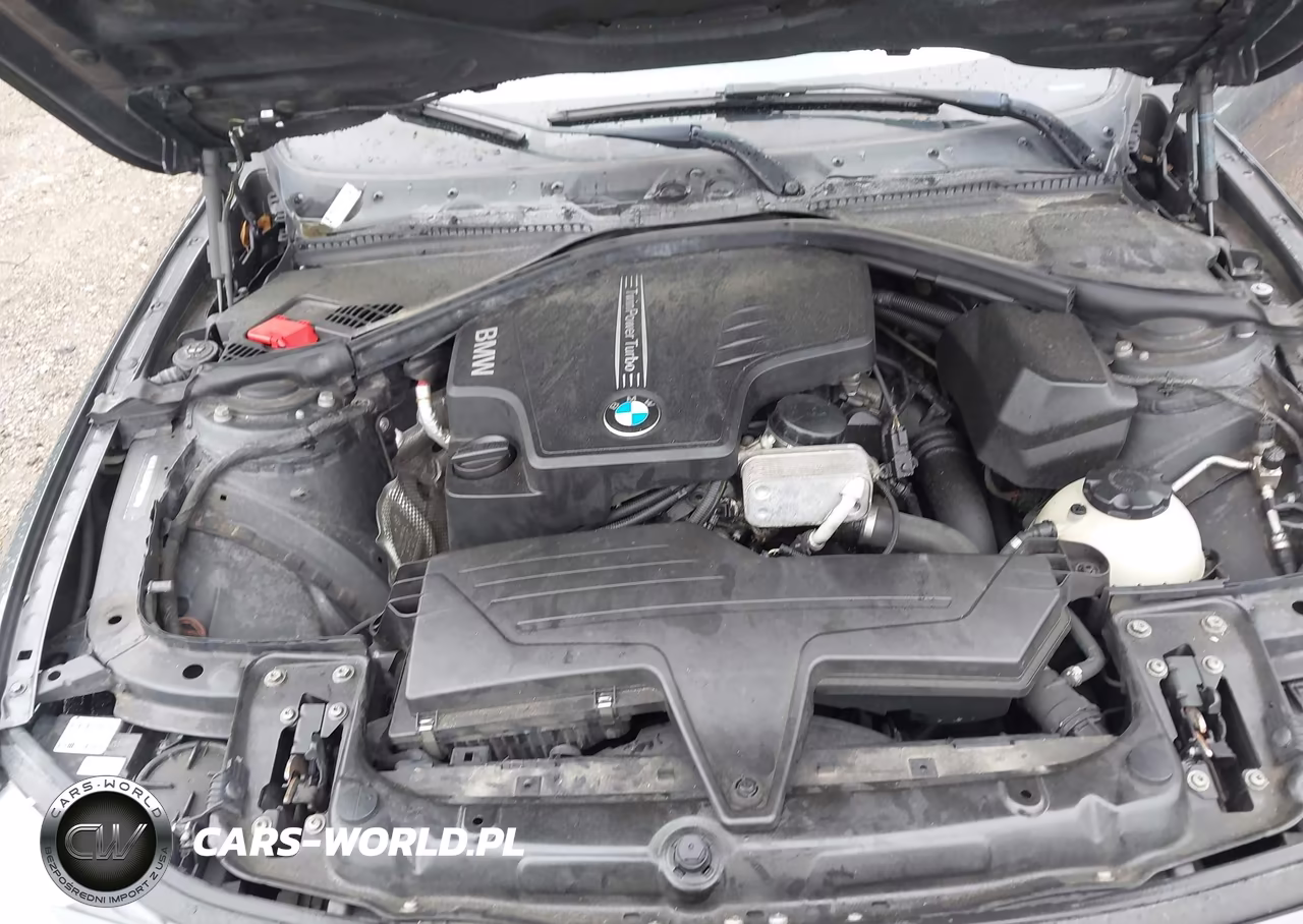 2014 BMW 428I xDrive VIN:WBA3N5C57EF715667 - 10