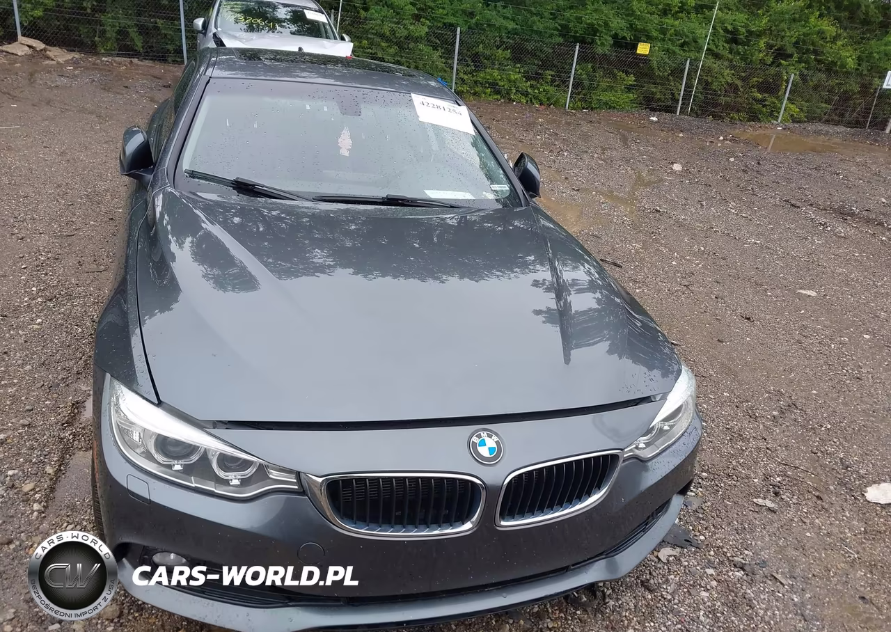 2014 BMW 428I xDrive VIN:WBA3N5C57EF715667 - 11