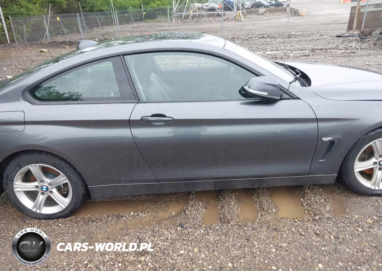 2014 BMW 428I xDrive VIN:WBA3N5C57EF715667 - 12