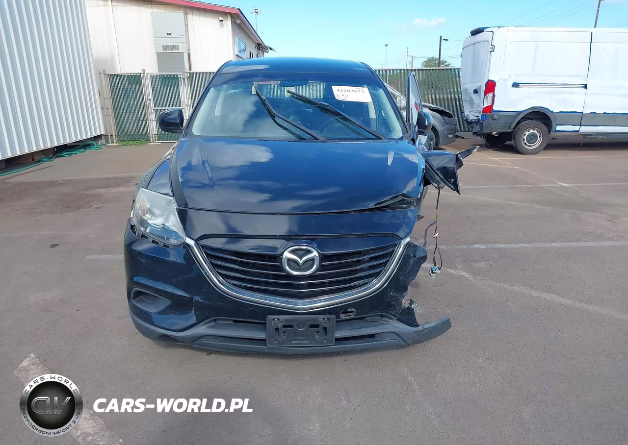 2014 Mazda Cx-9 Sport VIN:JM3TB2BA9E0438443 - 12
