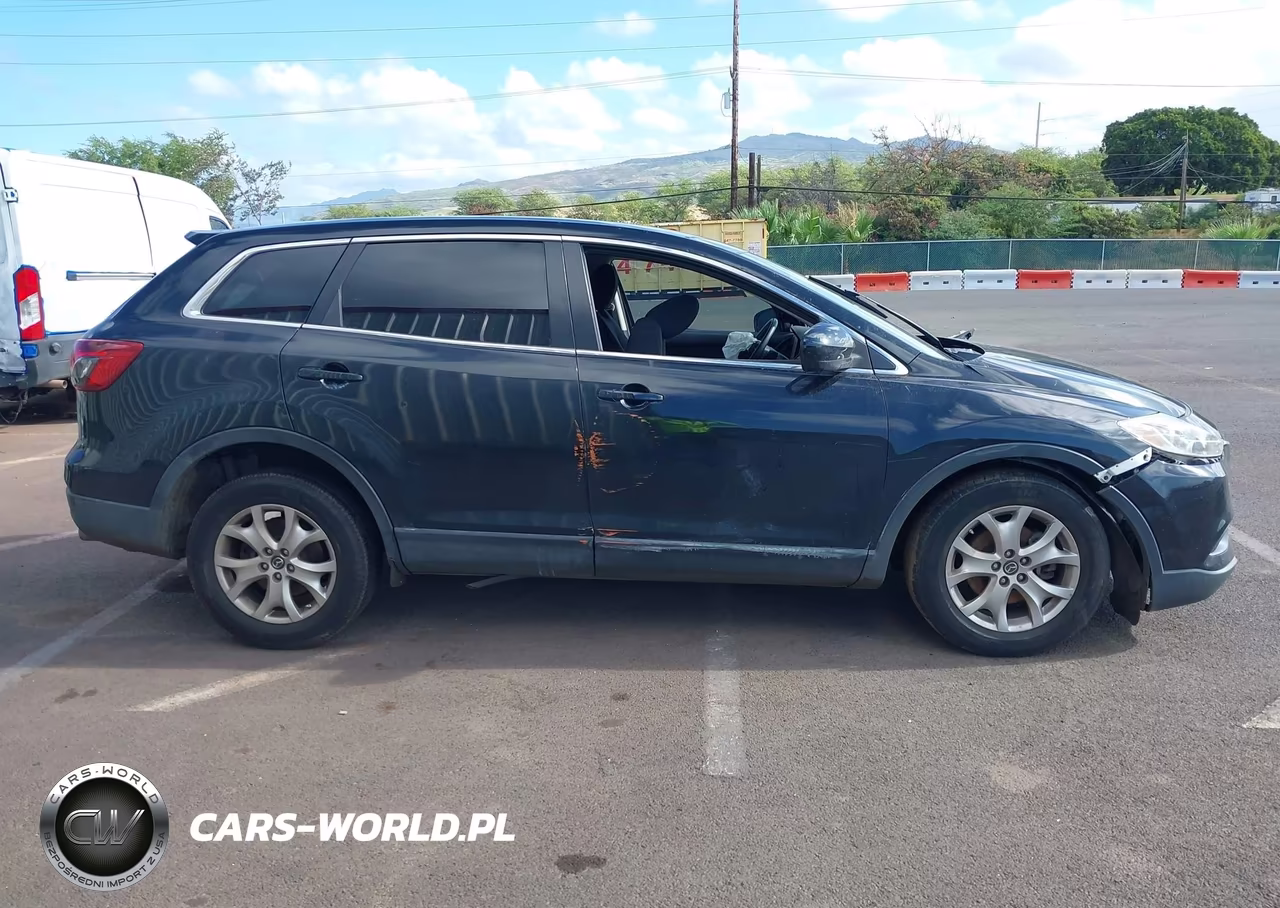 2014 Mazda Cx-9 Sport VIN:JM3TB2BA9E0438443 - 13