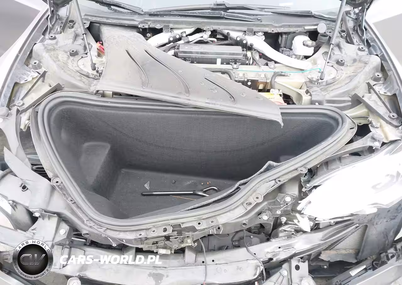 2020 Tesla Model S Performance Dual Motor All-Wheel Drive VIN:5YJSA1E49LF389105 - 10
