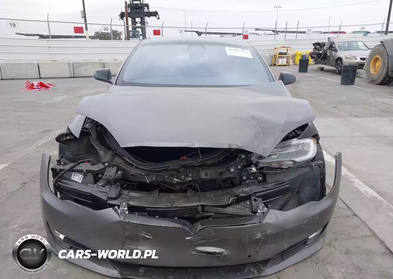 2020 Tesla Model S Performance Dual Motor All-Wheel Drive VIN:5YJSA1E49LF389105 - 12