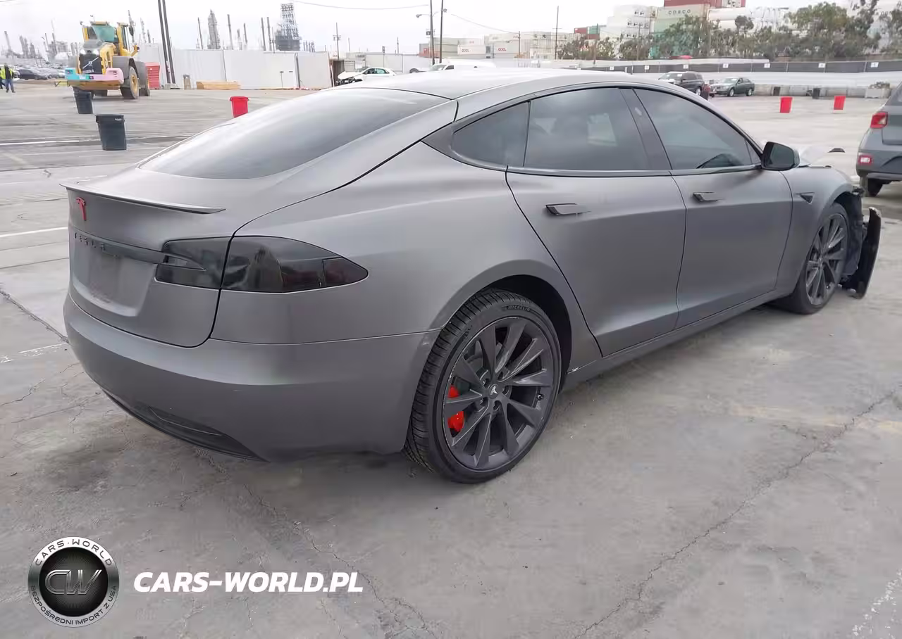 2020 Tesla Model S Performance Dual Motor All-Wheel Drive VIN:5YJSA1E49LF389105 - 4