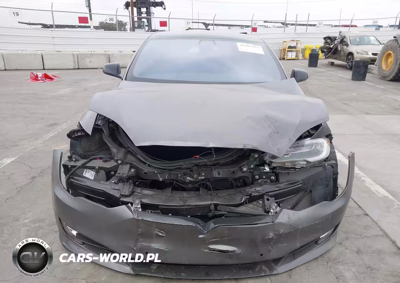 2020 Tesla Model S Performance Dual Motor All-Wheel Drive VIN:5YJSA1E49LF389105 - 6