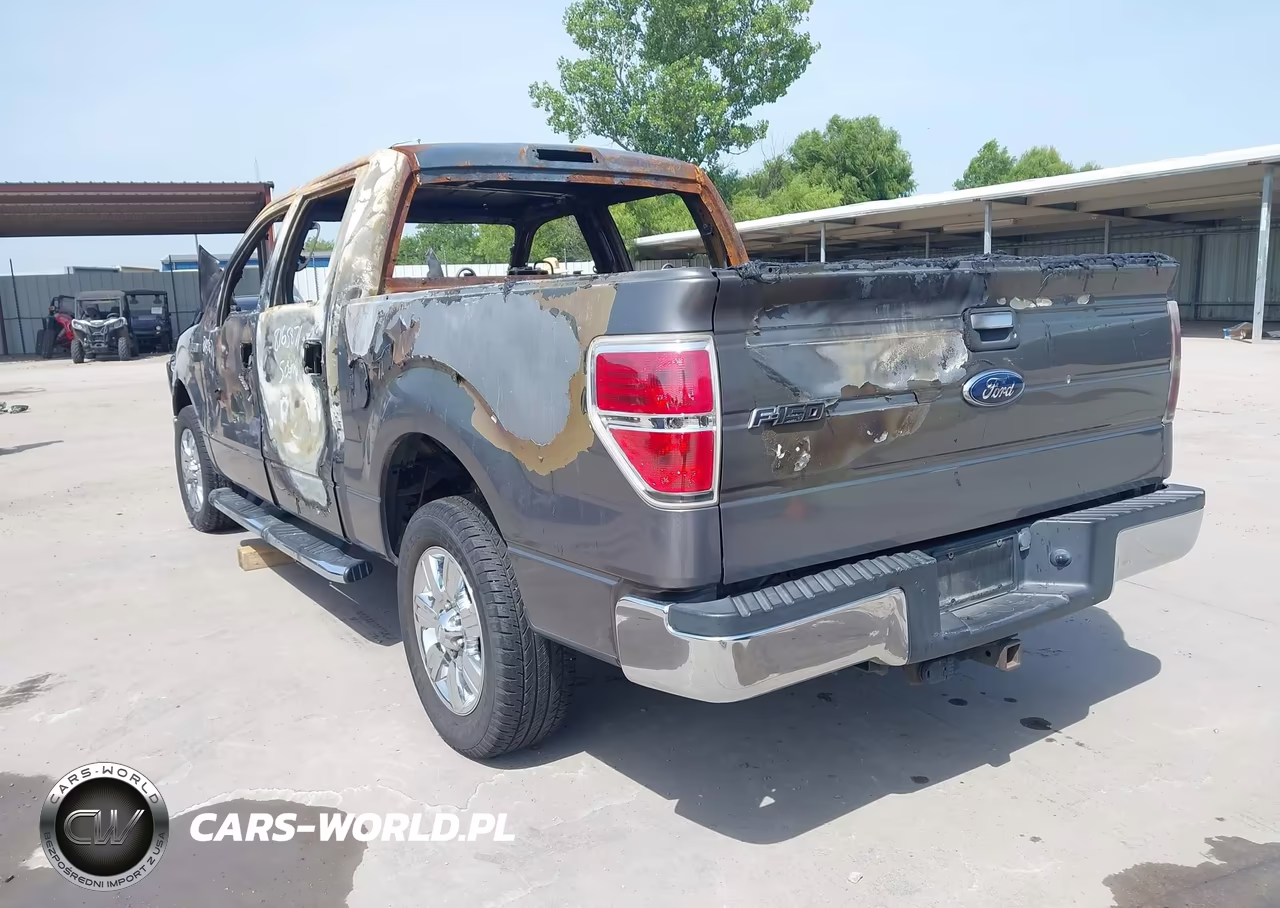 2010 Ford F-150 Fx2 Sport-Xl-Xlt VIN:1FTEW1C83AFC56871 - 3