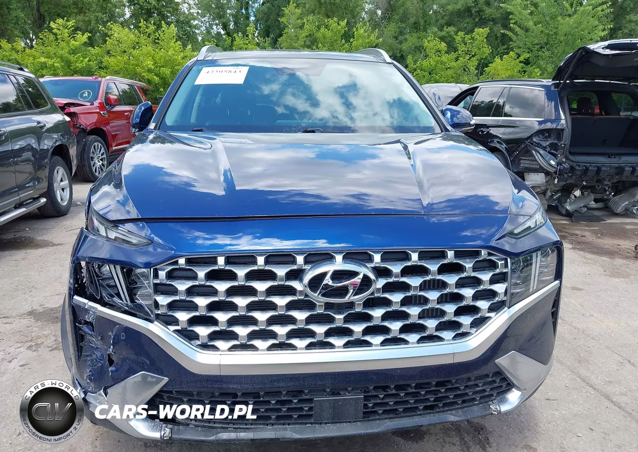 2023 Hyundai Santa Fe Hybrid Limited VIN:5NMS5DA10PH011874 - 12