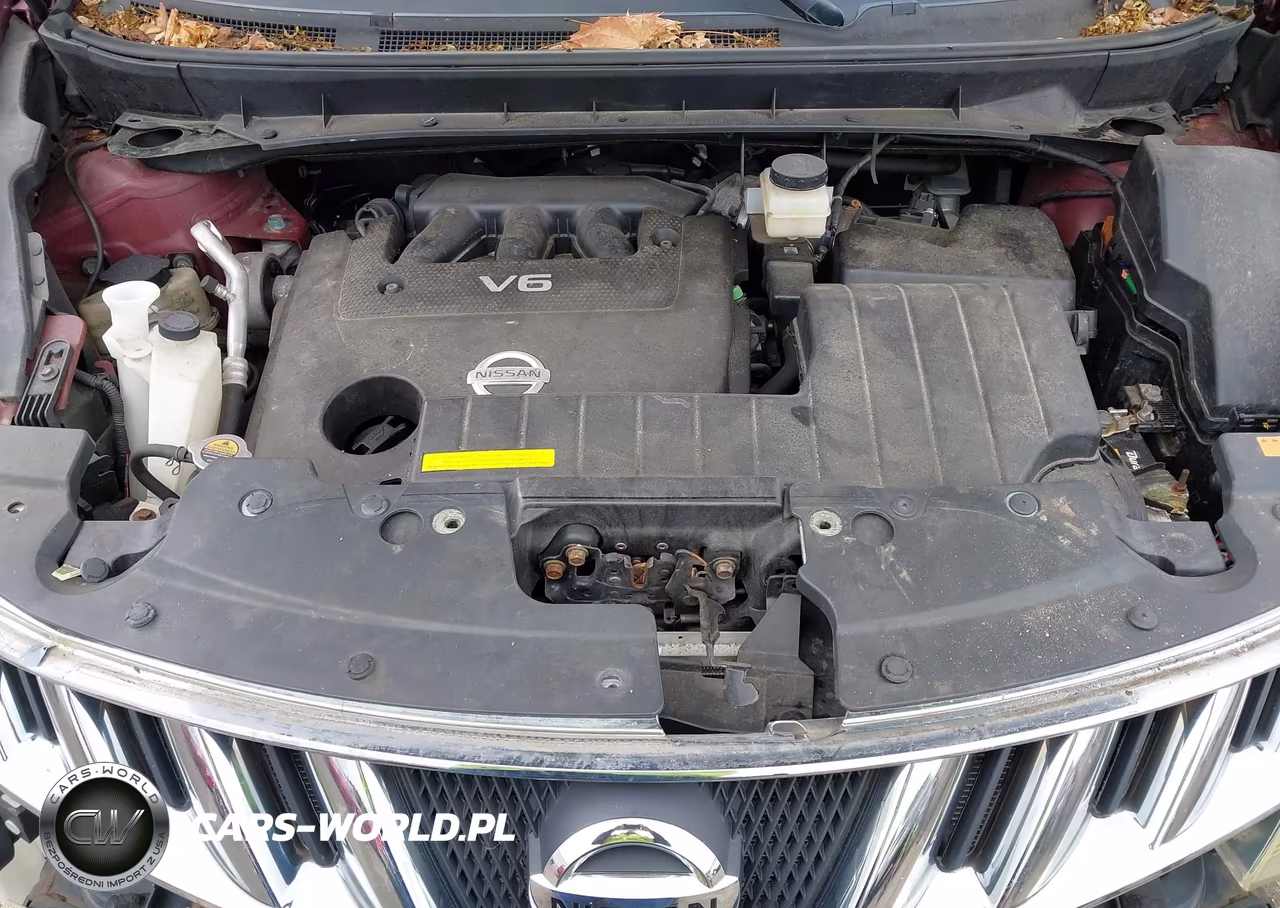 2009 Nissan Murano Le VIN:JN8AZ18W99W100282 - 10