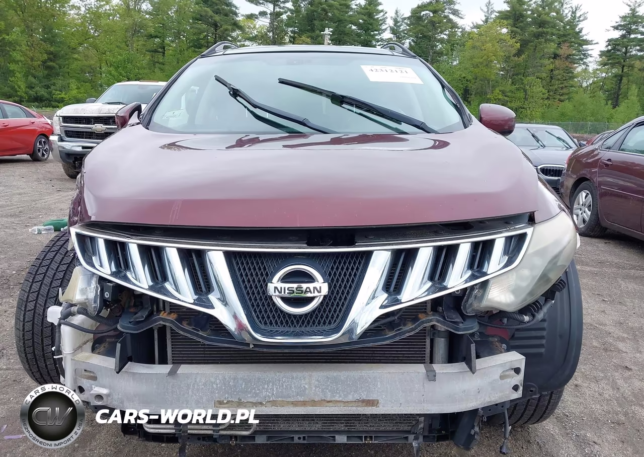 2009 Nissan Murano Le VIN:JN8AZ18W99W100282 - 11