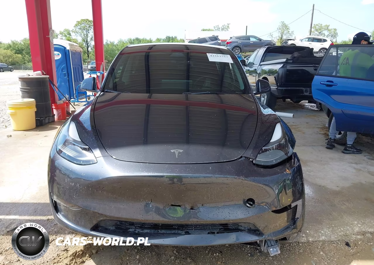 2024 Tesla Model Y Rwd VIN:7SAYGDED6RF054342 - 12