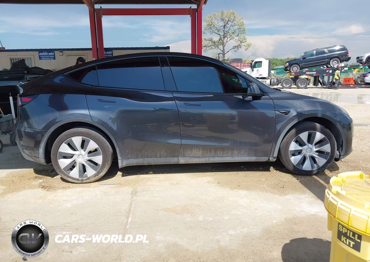 2024 Tesla Model Y Rwd VIN:7SAYGDED6RF054342 - 13