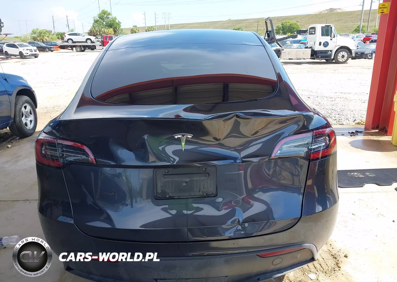 2024 Tesla Model Y Rwd VIN:7SAYGDED6RF054342 - 16