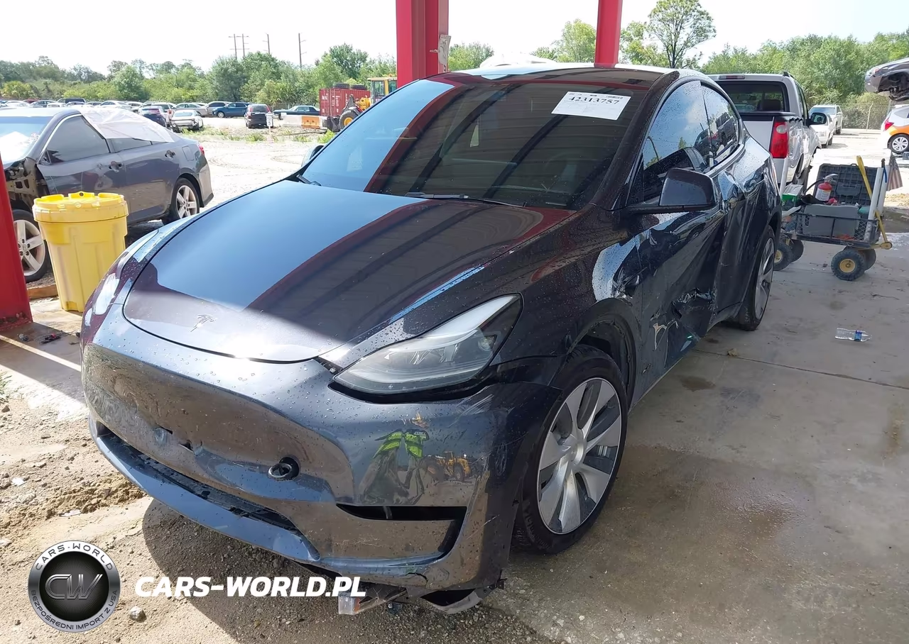 2024 Tesla Model Y Rwd VIN:7SAYGDED6RF054342 - 2