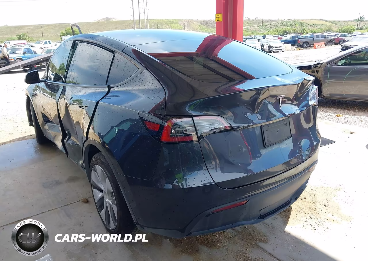 2024 Tesla Model Y Rwd VIN:7SAYGDED6RF054342 - 3