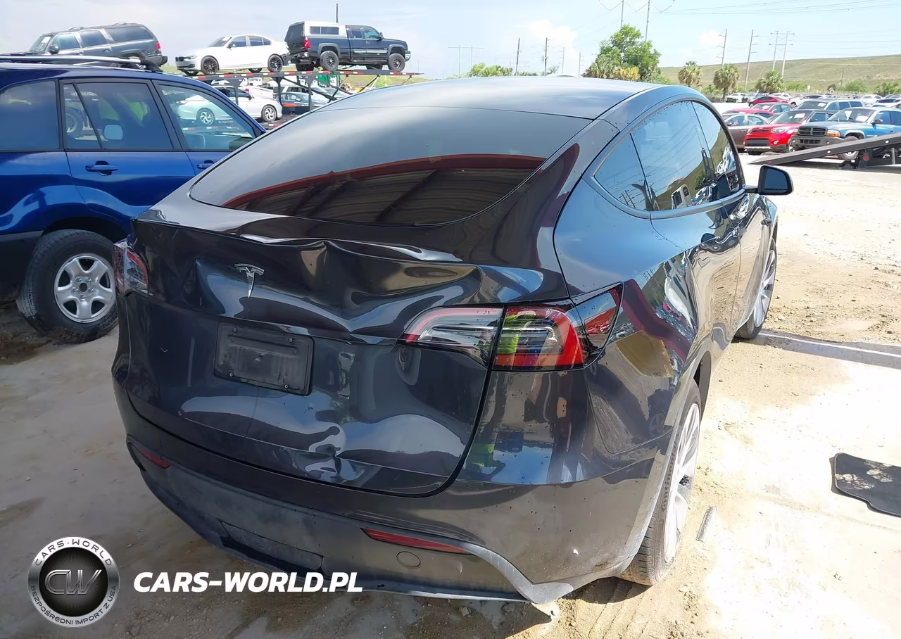 2024 Tesla Model Y Rwd VIN:7SAYGDED6RF054342 - 4