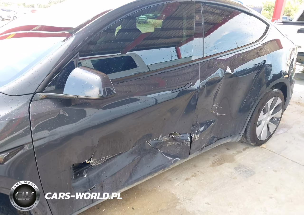 2024 Tesla Model Y Rwd VIN:7SAYGDED6RF054342 - 6