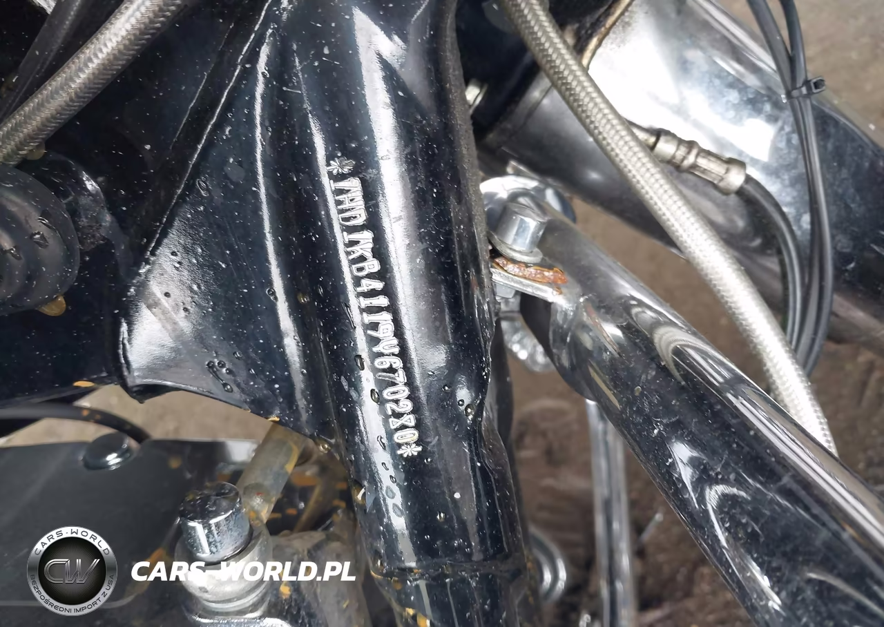 2009 Harley-Davidson Flhx VIN:1HD1KB4119Y670280 - 10