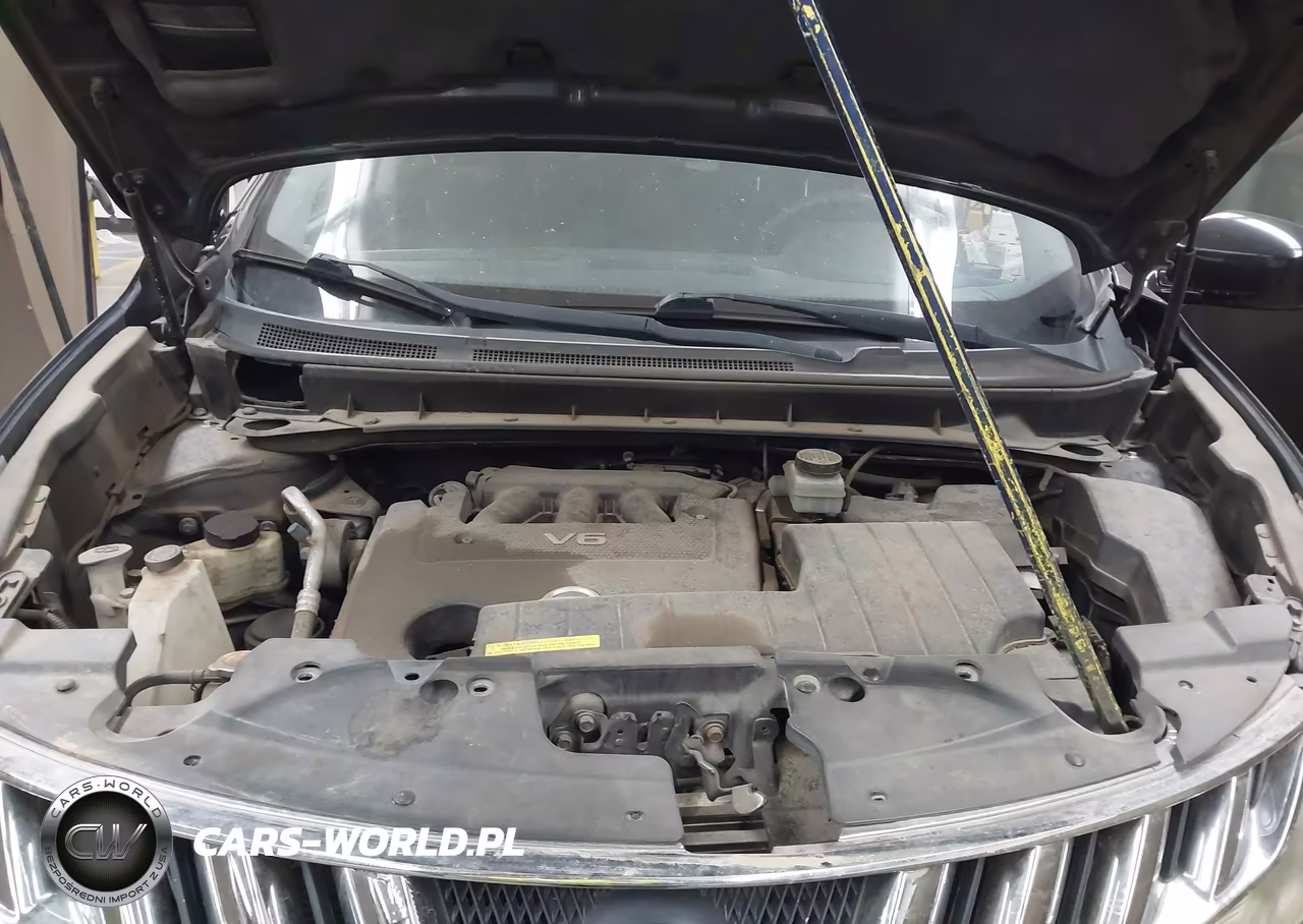 2009 Nissan Murano S VIN:JN8AZ18U89W013746 - 10