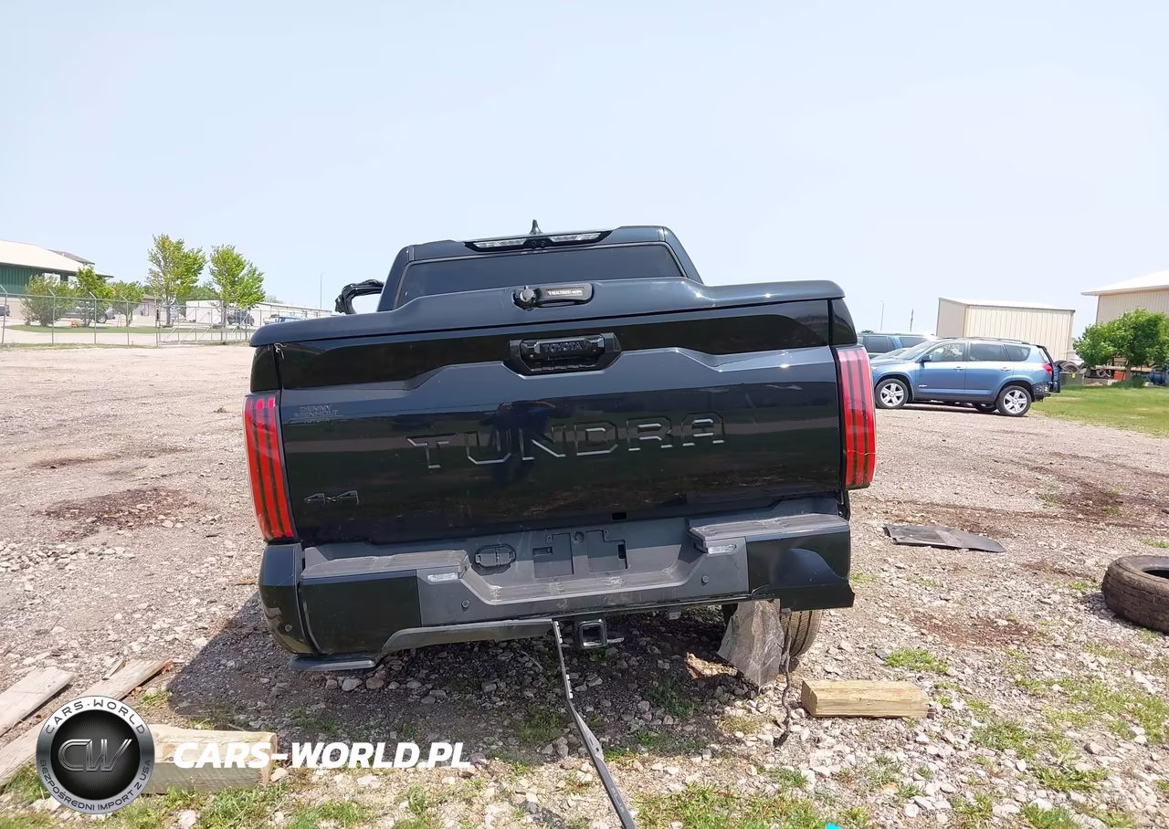 2024 Toyota Tundra Hybrid Platinum 4Wd VIN:5TFNC5DB1RX043725 - 17