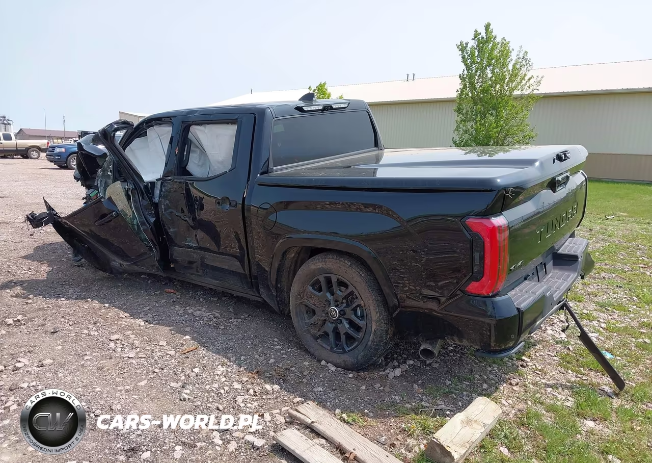 2024 Toyota Tundra Hybrid Platinum 4Wd VIN:5TFNC5DB1RX043725 - 3