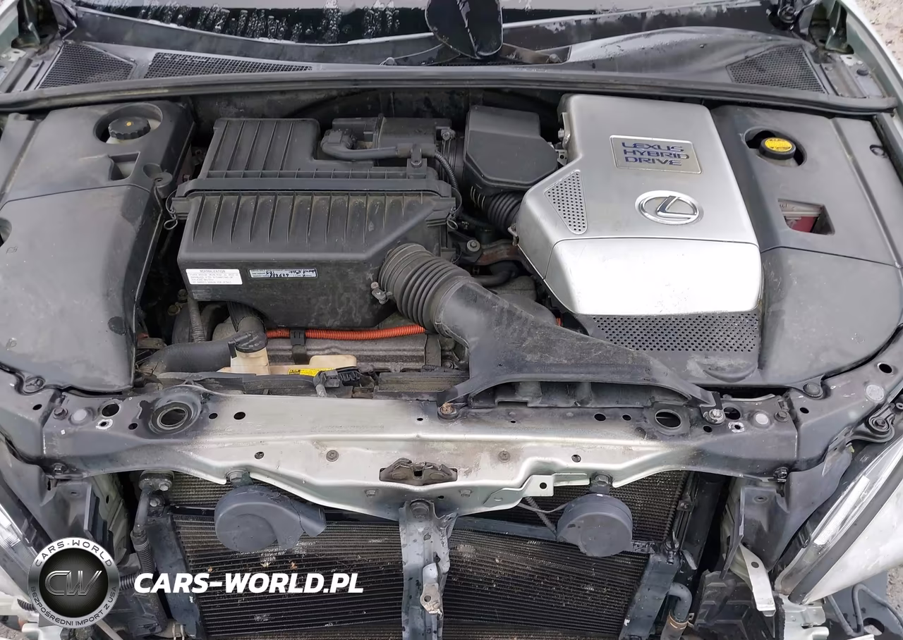 2008 Lexus Rx 400H VIN:JTJGW31U182008380 - 10