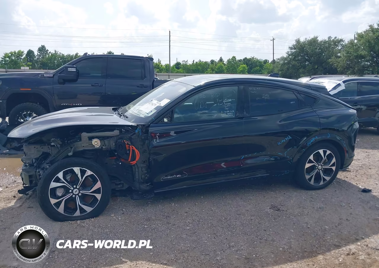 2023 Ford Mustang Mach-E Premium VIN:3FMTK3SU4PMA69818 - 15