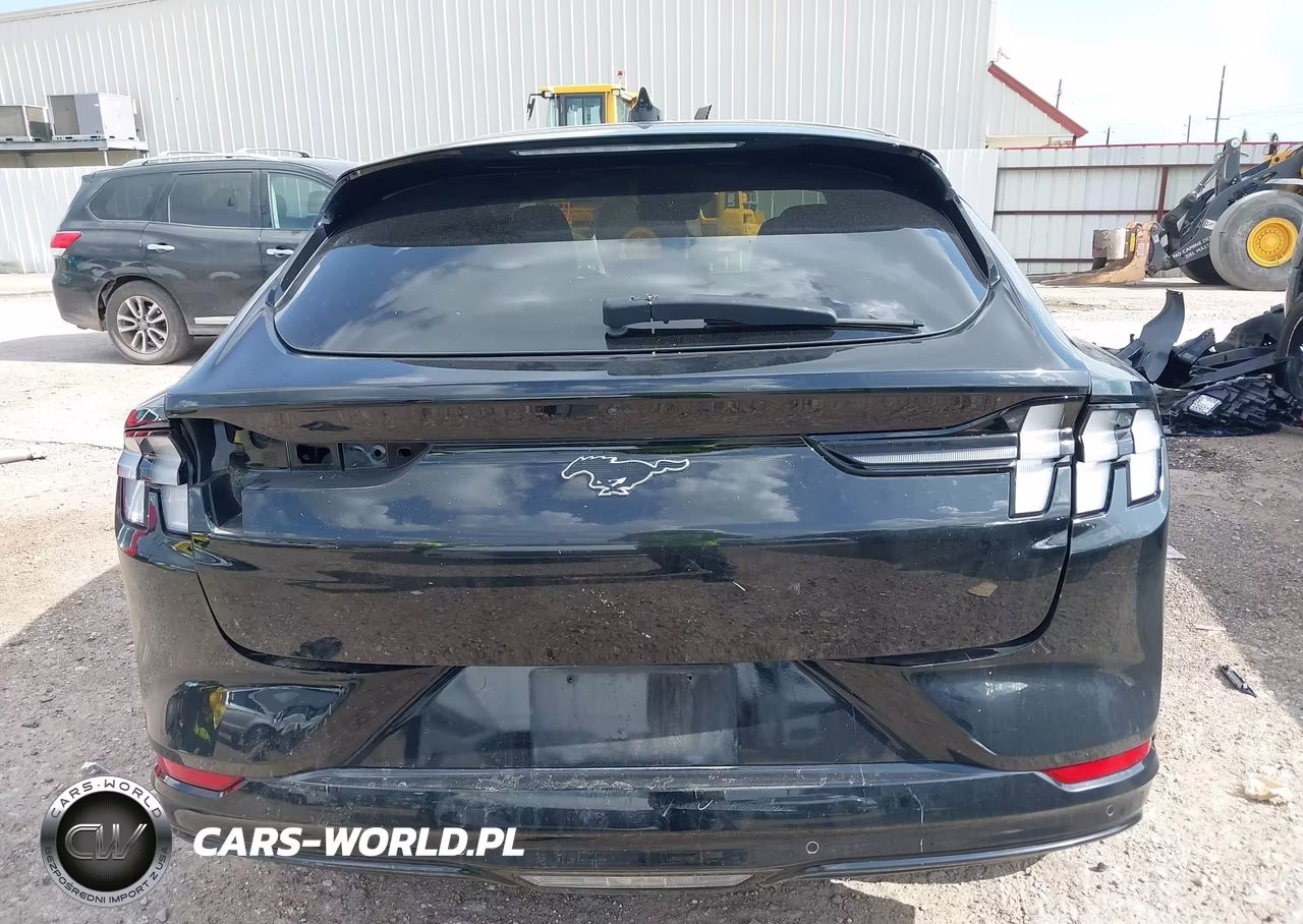 2023 Ford Mustang Mach-E Premium VIN:3FMTK3SU4PMA69818 - 17