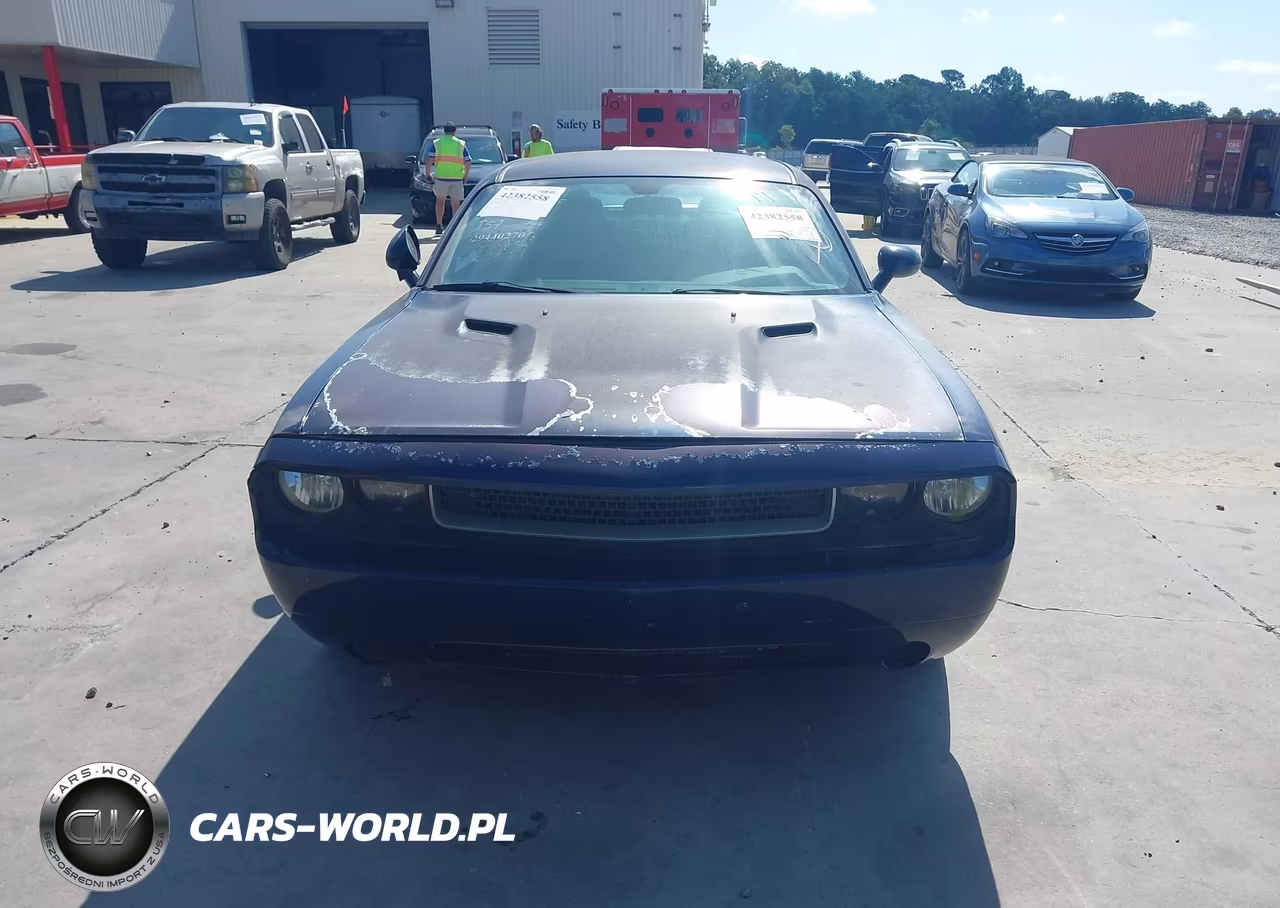 2013 Dodge Challenger Sxt VIN:2C3CDYAG7DH704987 - 12