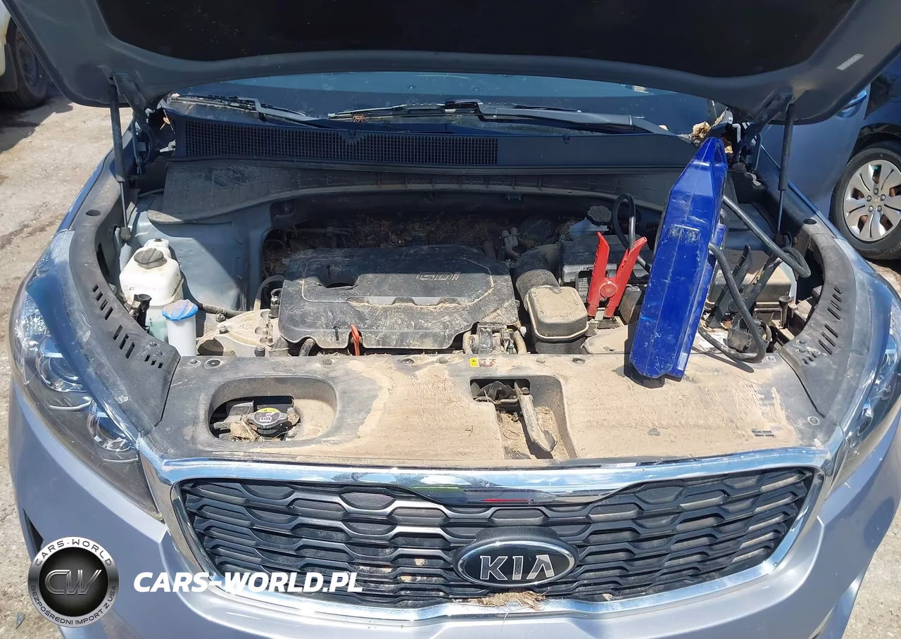 2020 Kia Sorento 2.4L Lx VIN:5XYPG4A37LG631546 - 10