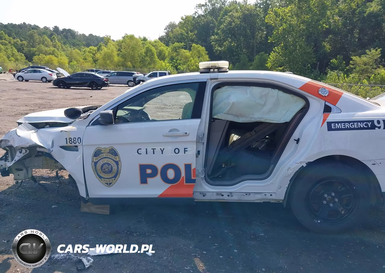 2018 Ford Police Interceptor VIN:1FAHP2MK0JG104864 - 13