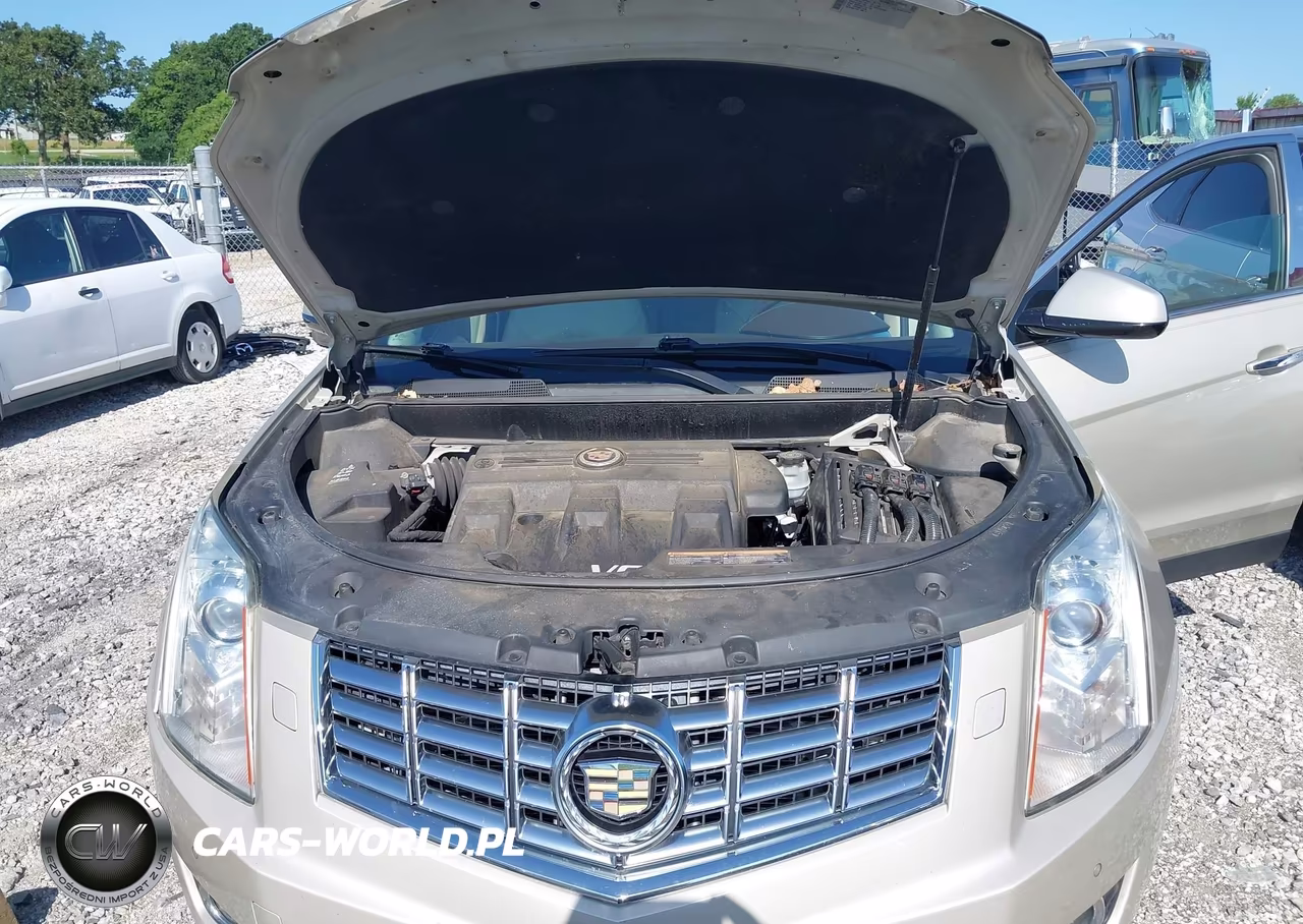 2013 Cadillac Srx Premium Collection VIN:3GYFNEE33DS532234 - 10