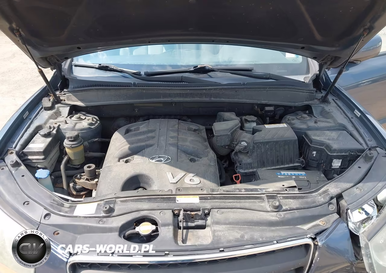2008 Hyundai Santa Fe Limited-Se VIN:5NMSH13E38H133247 - 10
