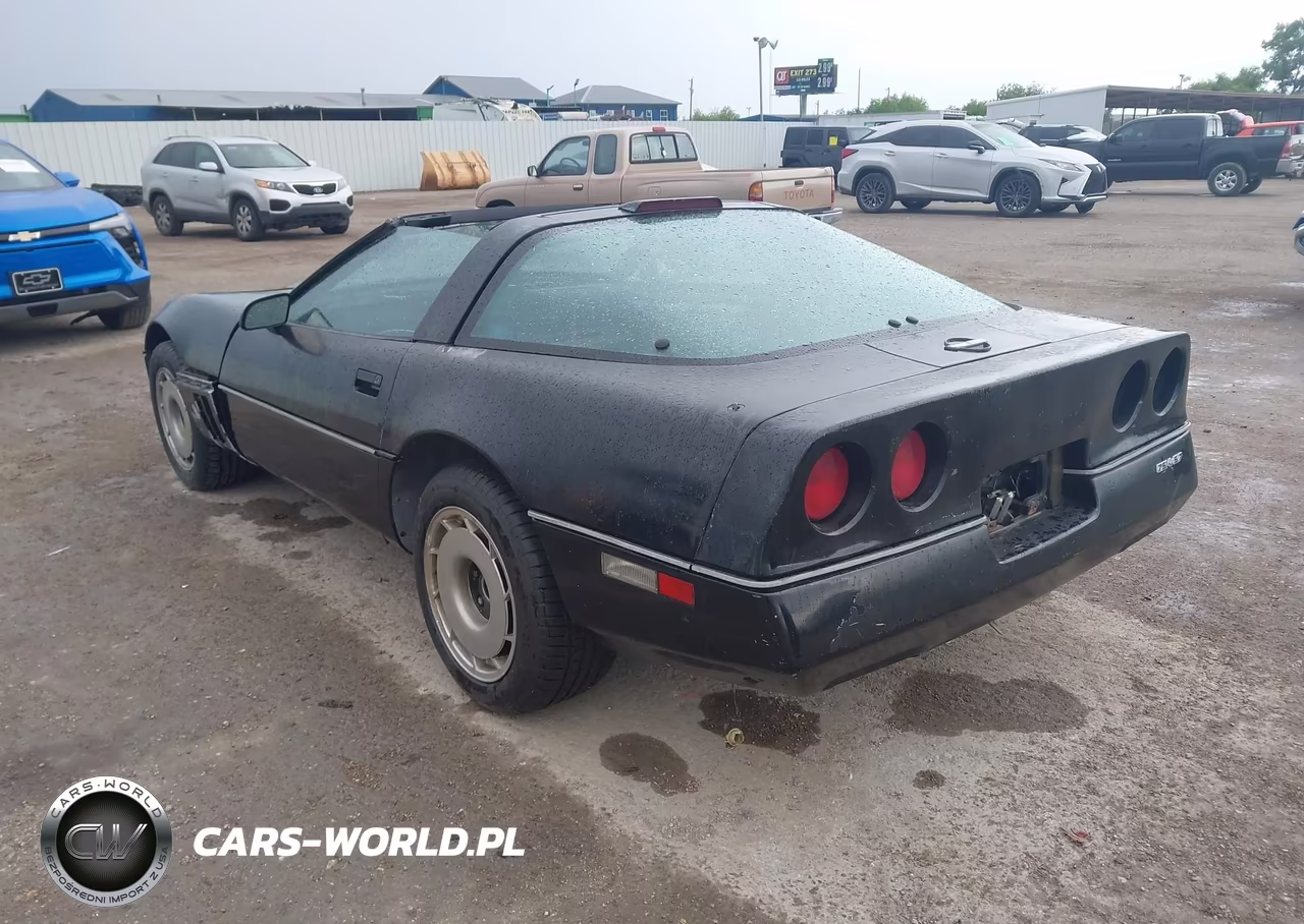 1984 Chevrolet Corvette VIN:1G1AY0783E5109631 - 3