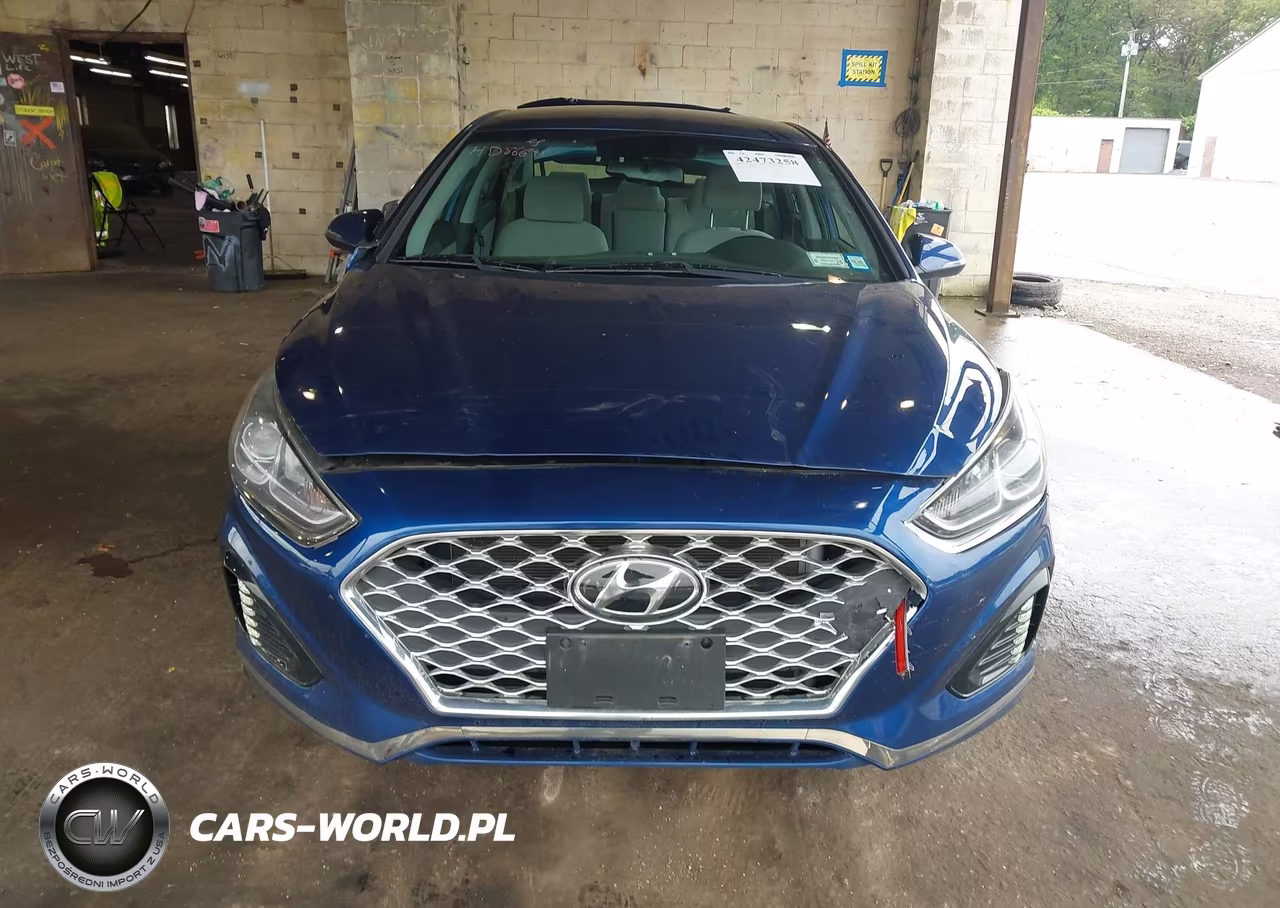 2019 Hyundai Sonata Sel VIN:5NPE34AF5KH785404 - 12