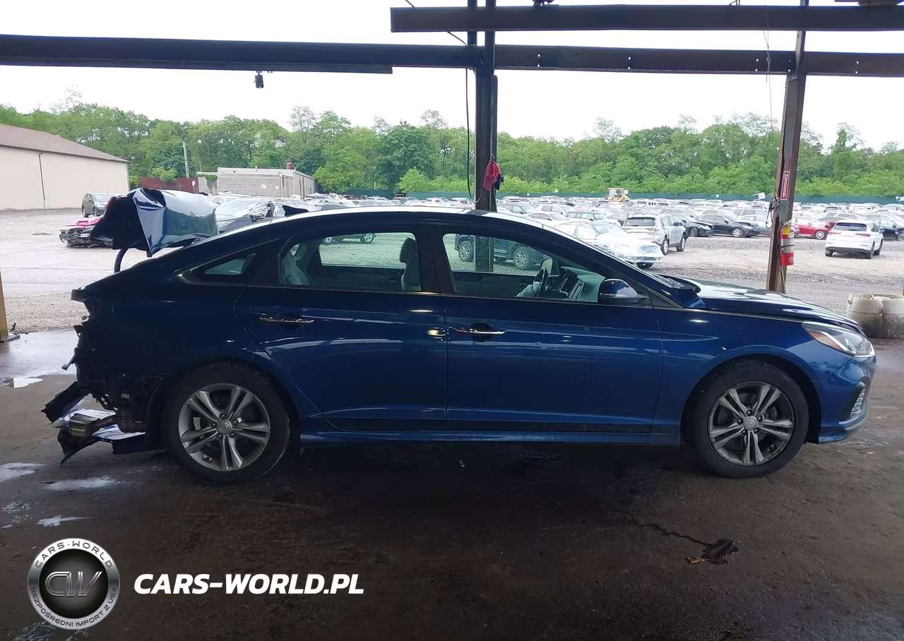 2019 Hyundai Sonata Sel VIN:5NPE34AF5KH785404 - 13