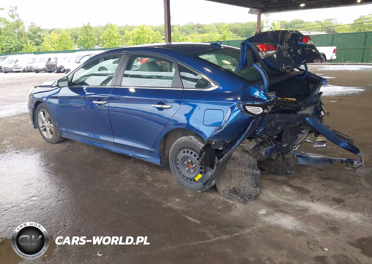 2019 Hyundai Sonata Sel VIN:5NPE34AF5KH785404 - 3