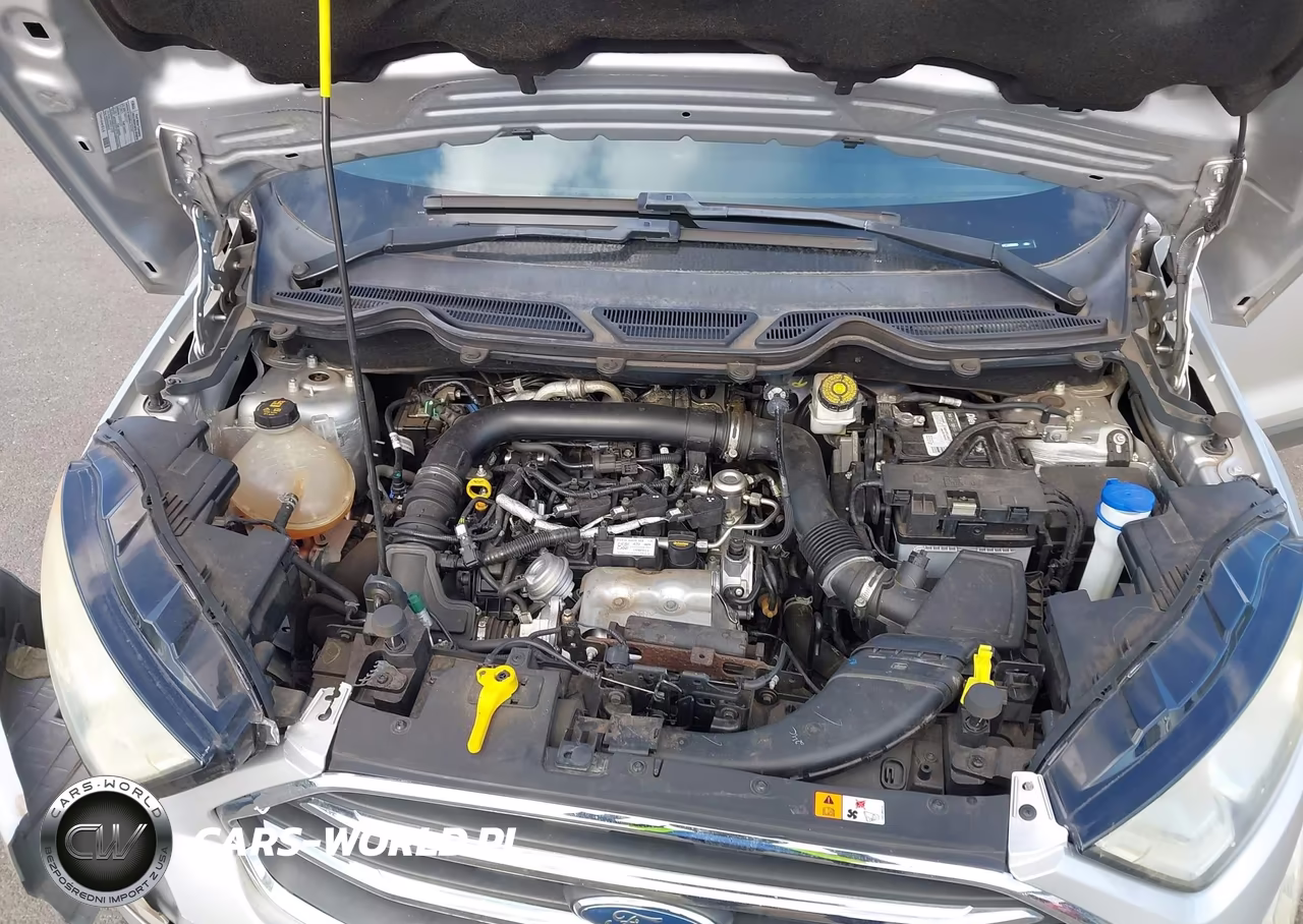 2019 Ford Ecosport Titanium VIN:MAJ3S2KE0KC256660 - 10