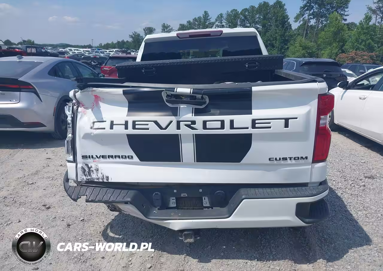 2021 Chevrolet Silverado 1500 2Wd Double Cab Standard Bed Custom VIN:1GCRWBEK2MZ301480 - 16
