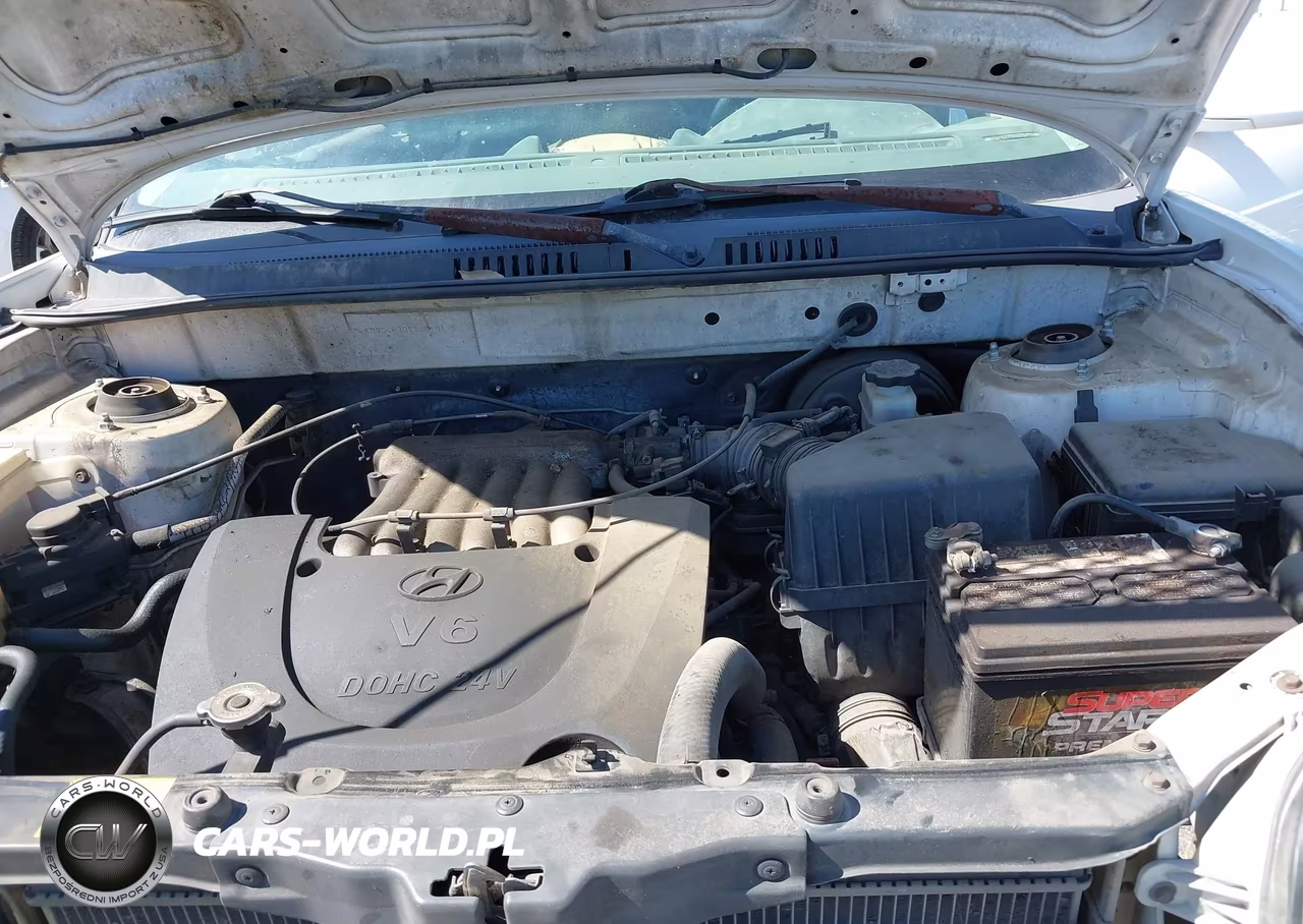 2001 Hyundai Santa Fe 2.7L V6 Gls-2.7L V6 Lx VIN:KM8SC83D11U040476 - 10