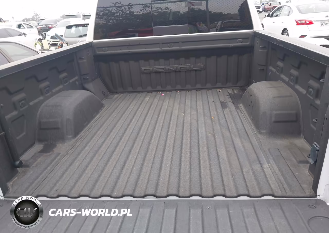2020 GMC Sierra 1500 4Wd Short Box Denali VIN:1GTU9FEL5LZ160789 - 18